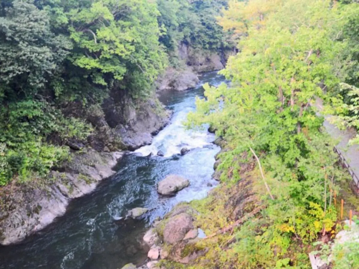 Takinoue Hotel Keikoku - Vacation Stay 32385V 0*,  Japan
